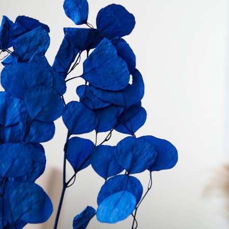 Sukhotzet of peach wood, 50 g, length - 70 cm, blue color-1
