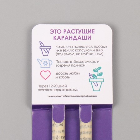 Growing gift pencils Mini "Mint and Lavada" set 2 pcs-2