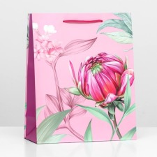 Gift package 