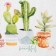Towel "Ethel" Cacti 40x73 cm, 100% cotton, moured 160 g/m2