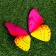 Decor for magnet "Butterfly", 13.5cm, mix