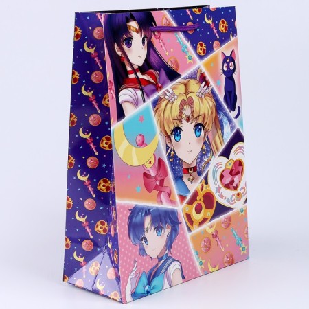Glossy gift package 22*31*10 cm-2