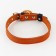 Set: collar (36-56x2.5 cm) and leash (130x1.5 cm), beige and blue color
