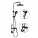 The shower system Fashun A2483-7, stand, hygienic and hand watering can, brass, black