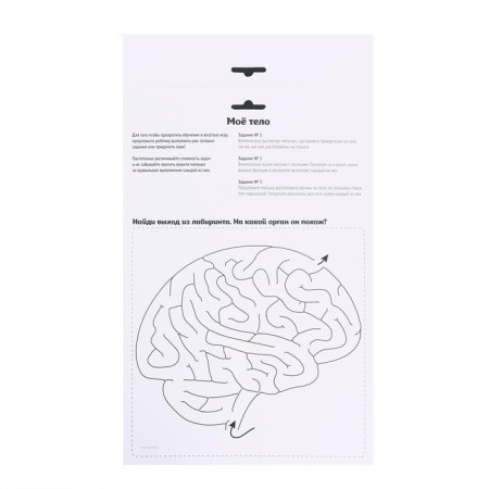 Velcro game "My Body", Anatomy-5