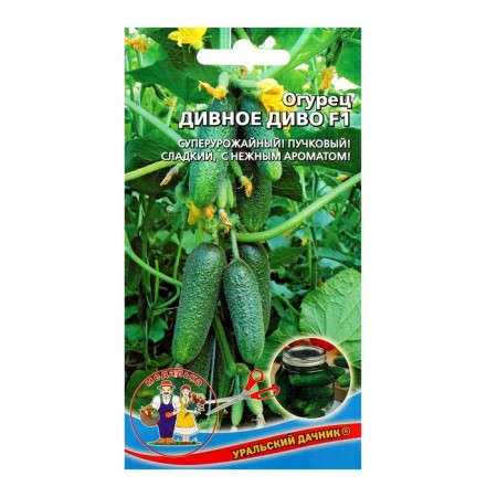 Cucumber seeds "marvelous", F1, 10-12 pcs.-3