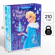 New Year. Gift package, 31x40x11.5 cm, packaging, cold heart