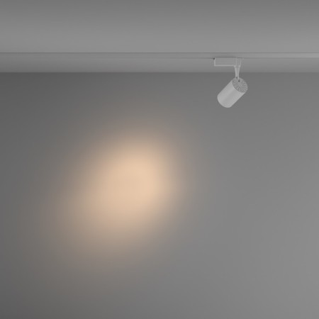 Technical TR003-1-10W3K-S-W, LED, 10 W, 118x147 mm, 850 lm, 3000k, white-2