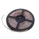 LED automobile tape 12 V, 150 SMD, 500cm, blue (coil), white base, Skyway, S03201021