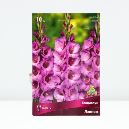 Gladiolus large-flowered "Lannon", district 10/12, 10 pcs, spring 2024
