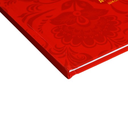 Diary for grades 5-11, 48 sheets of "Russian schoolchildren No. 3", solid cover, glossy lamination, block 60 g/m2-2