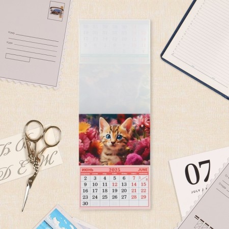 The calendar torn on the magnet "Lovely Cats" 2025, 9.5 x 13 cm-1