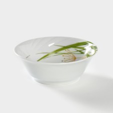 Porcelain Salenik 