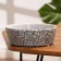 Kashpo "Magenta" Gray Cactus, 1 L