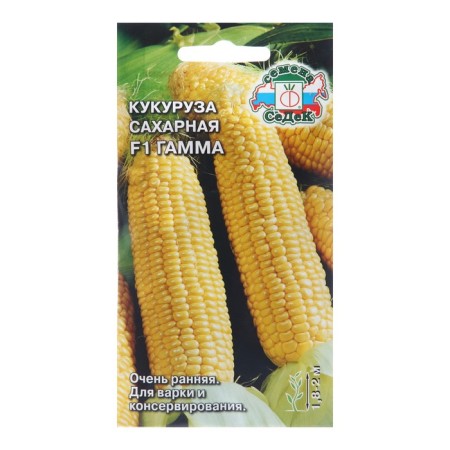 Corn seeds "Gamma F1", 4 g