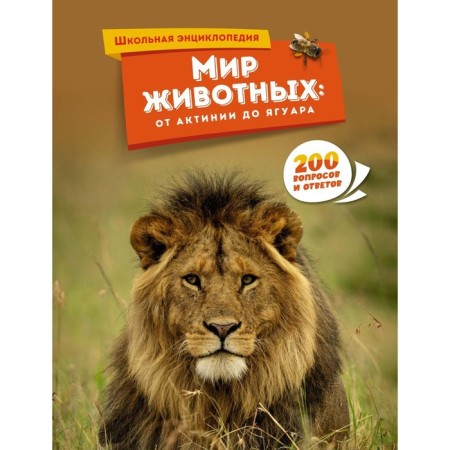 Animal world. From Actini to Jaguar