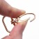 Metal carbine, 43 × 25 mm / 20 × 2.2 mm, 5 pcs, gold color