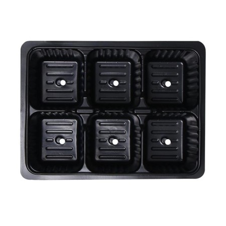 Cassette for seedlings, 6 cells, 120 ml, plastic, black, 18 × 13 × 6 cm, in a set of 10 pcs., Greengo-2