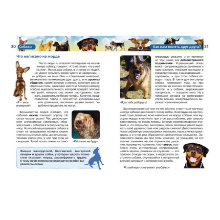 Children's Encyclopedia "Dogs"-2