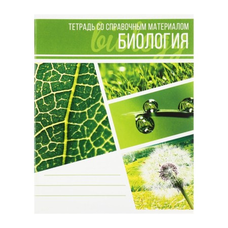 A set of subject notebooks of 48 collage sheets, 10 items, with reference material, covered cardboard, OFSET block-14
