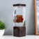 Lava-lamp "Bear" LED 2W from batteries 3haa brown 7x7x24 cm