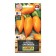 Semen Tomat "Pinocchio", orange, folk favorite, 20 pcs