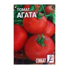 Seed Tomat 
