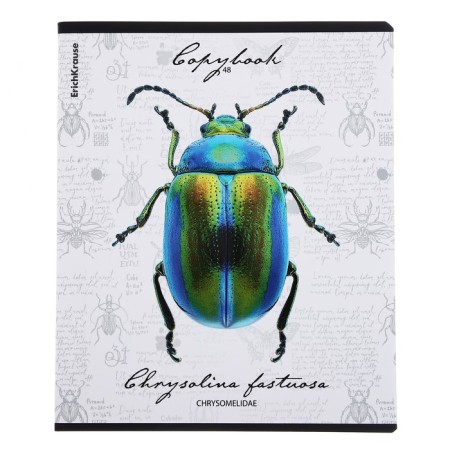 Notebook of 48 sheets in the Erichkrause "Beetles", matte lamination, an offset block 100%, mix-3