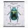 Notebook of 48 sheets in the Erichkrause "Beetles", matte lamination, an offset block 100%, mix