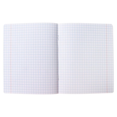 Notebook 12 sheets in a large cage "Classic", cover coated cardboard, offset unit, mix (1 species in a adhesion)-13
