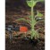 Nozzle for drip irrigation, adjustable, set of 10 pcs., In the blister