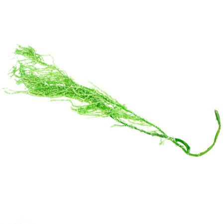 Dry amaranth flowers, 100 g, sheet size: from 50 to 60 cm, green color-3