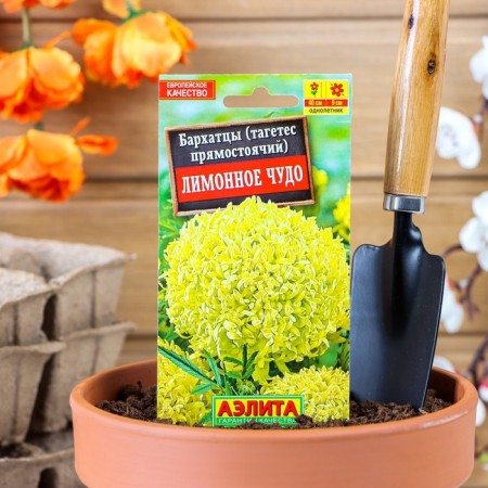 Flower seeds of marigold "Lemon miracle" erect, o, 0.1 g