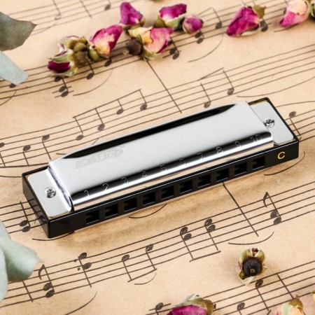 Music Life T10-3 Harly Diatonic, 10 holes, with a case-1