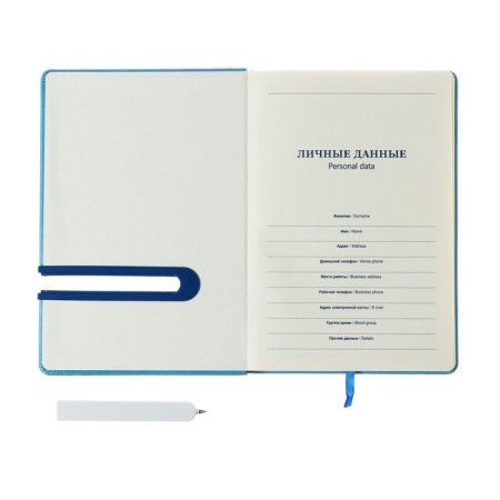 The diary is undathed, PVC cover, A5 format, 140 sheets, cage, elastic band with a handle, mix-4
