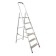 Strent of Encor 69653, aluminum, 6 steps