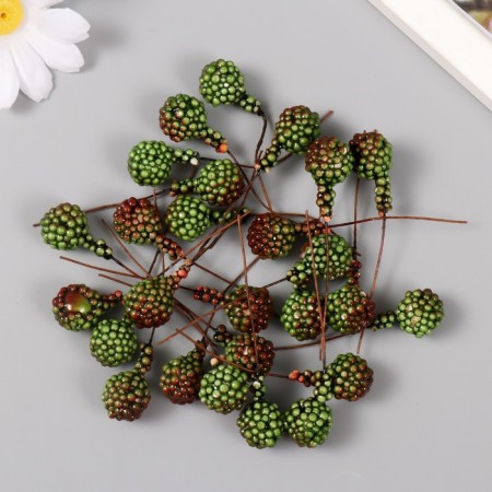 Decor for creativity "Black Black Sea" set 25 pcs brown-green 1.4x1.4x6.3 cm