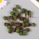 Decor for creativity "Black Black Sea" set 25 pcs brown-green 1.4x1.4x6.3 cm