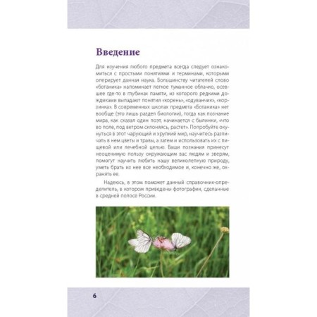 Mushrooms. Healing herbs. Illustrated reference book. Ilyina T.A.-7