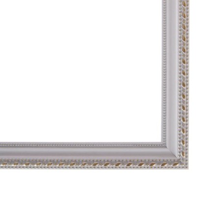Frame for paintings (mirrors) 40 x 50 x 2.6 cm, plastic, calligrata 6429, white-golden-2