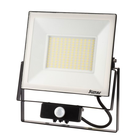 Flight lights, PROFI 230V 100W 6500K 10,000 IP65 with divers motion Chern 2 years 53424-2