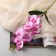 Artificial Flowers "Orchid Falalanopsis" premium, 7x55 cm, raspberry-white