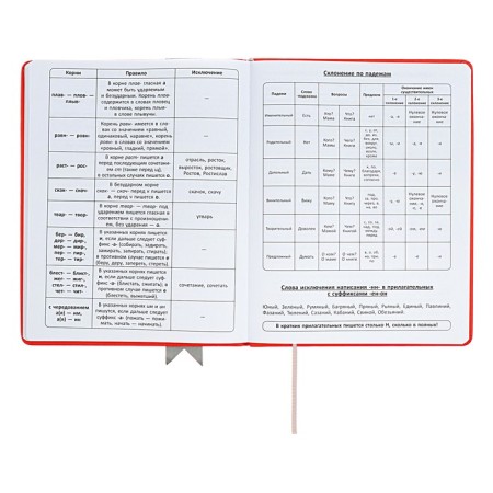 Universal diary for grades 1-11 Lenta, solid cover of artificial leather, applique, silkography, liesse, 48 sheets, red-10