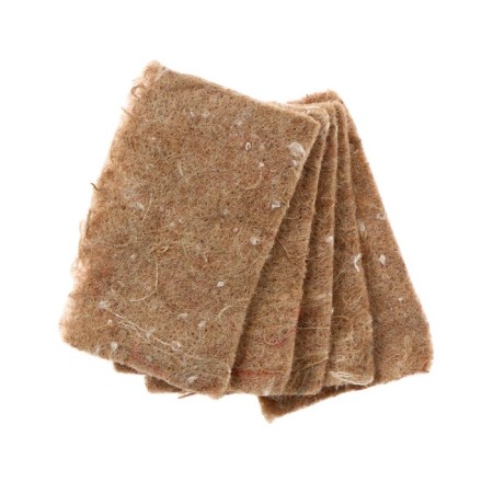 Jueta rug for growing microsenens, 10 × 15 cm, thickness 1 cm, set 5 pcs.