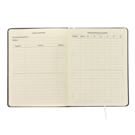 Universal diary for grade 1-11 GREY, hard cover, artificial leather, with foam, lies, 80 g/m2-3