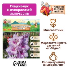 Гладиолус Низкорослый "Импрессив", р-р 10+, 7 шт,