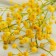 Artificial flowers "cotton gypsophila" 60 cm, yellow