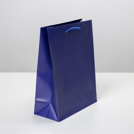 Gift laminated package, packaging, “blue”, MS 18 x 23 x 8 cm-2