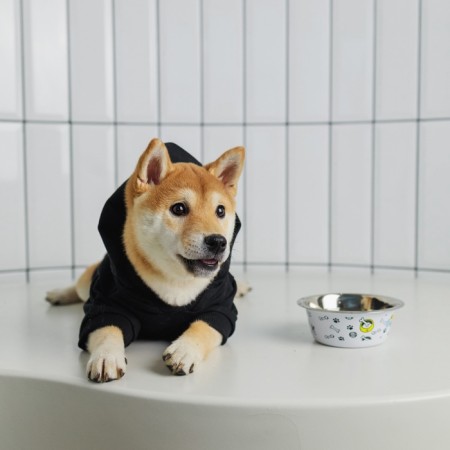 SECURITY sweatshirt for dogs (foot), size M (DS 26, Osh 36-38, OG 46-50), black-11