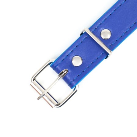 A collar made of artificial leather with a wool for engraving 52 x 2.5 cm, Osh 35-45 cm, blue-4